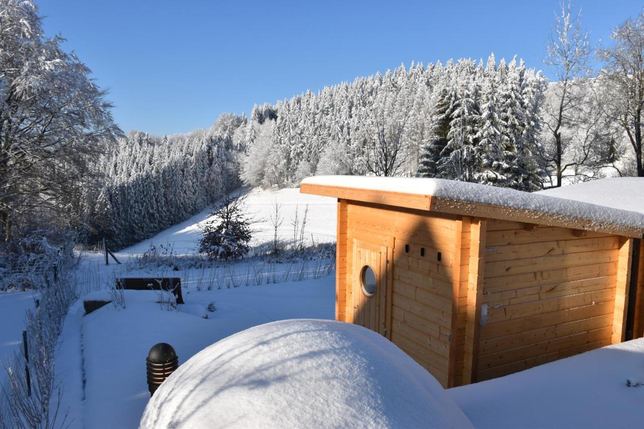 Asten-Chalets Winterberg Dış mekan fotoğraf